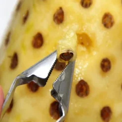 Smidig Frukt Pincett Jordgubbe Pincett Fruktskalare