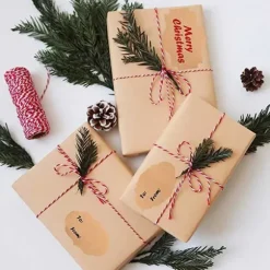 250st Kraftpapper Etiketter för Burkar, Presenter + Penna