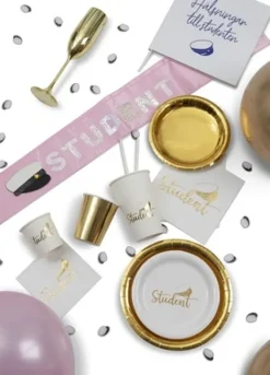 Student Servetter 16-pack, 33 cm