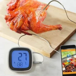 Termometerfabriken Termometer Stek Bluetooth