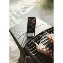 TERMOMETERN ENDERS CELSIO II MED BLUETOOTH ENDERS