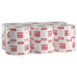 Toalettpapper KATRIN Gigant S 265m 12/fp