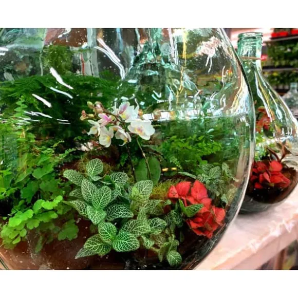 Tratt - L 10,4 x l 10,4 x H 19 cm - plast