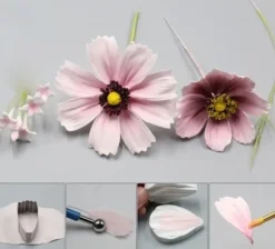 Tusensköna Daisy Petal Veiner