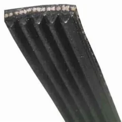 Tvättmaskinsrem - FAGOR - 1228J5 MAEL - Kompatibel med Brandt och Vedette - 55X3417