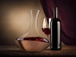 VACUVIN Carafe Swirling Vacuvin