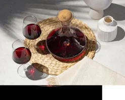 VACUVIN Wine Decanter