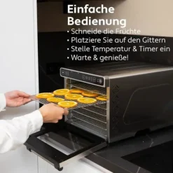 Vita5 Matdehydrator 7 Plattor Inox - Elektrisk 650W med 24h Timer