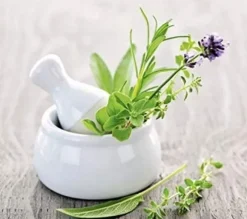 Wenko HERB GARDEN glasskyddsplatta för spis - stor, WENKO