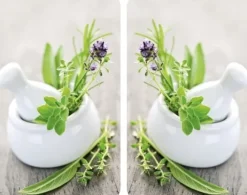 Wenko HERB GARDEN glasskyddsplattor för spis - 2 stycken, WENKO