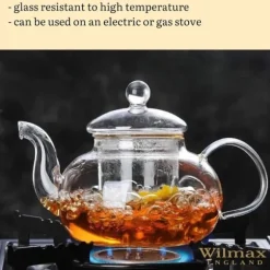 Wilmax tekanna i glas 620 ml med glasfilter, spissäker