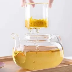 Wilmax tekanna i glas 620 ml med glasfilter, spissäker